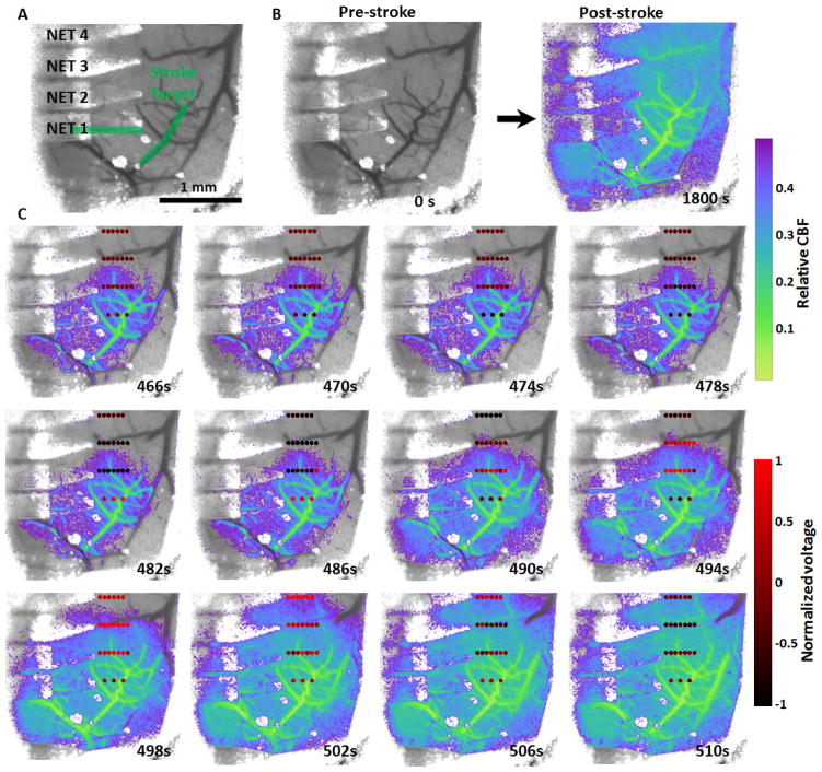 Fig. 2