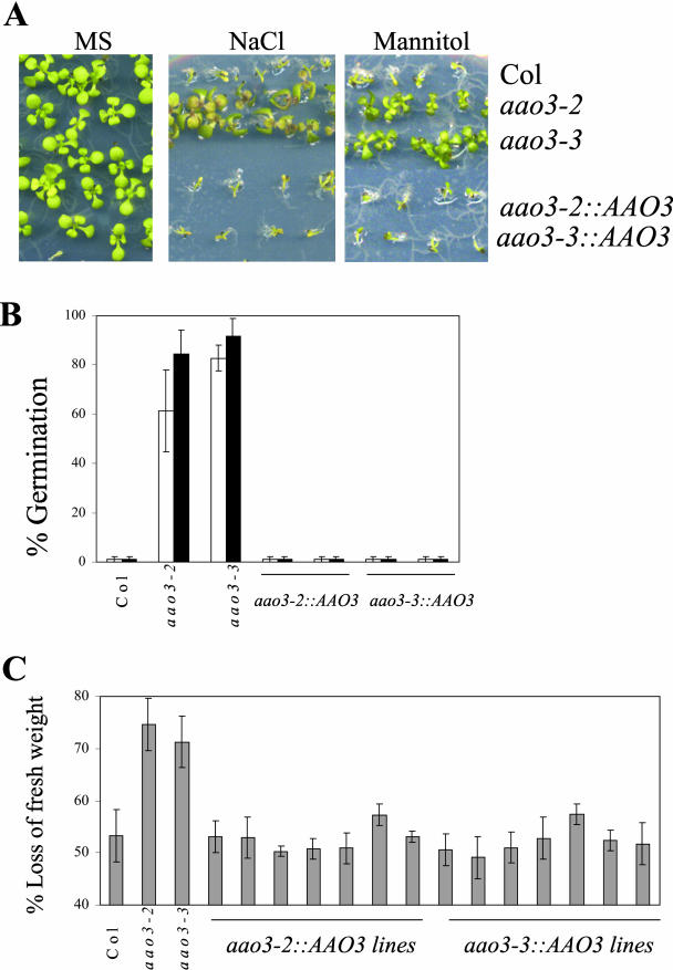 Figure 3.