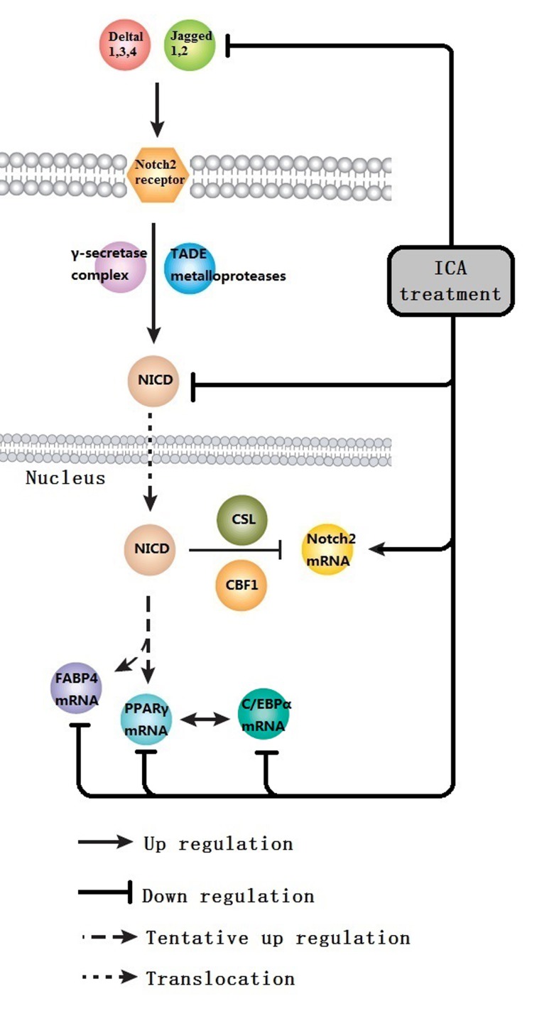 Figure 7.