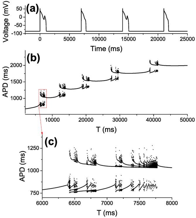 FIG. 24.