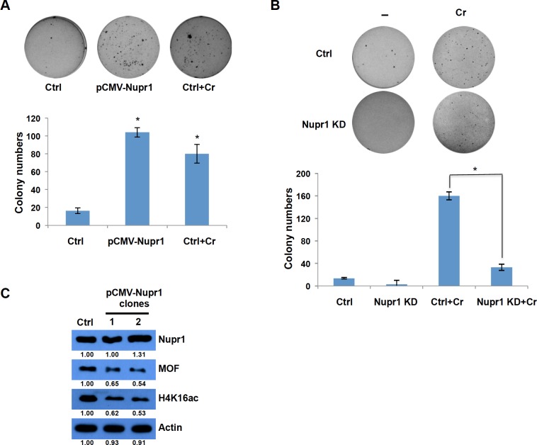 Fig 6