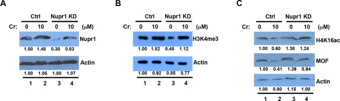 Fig 4