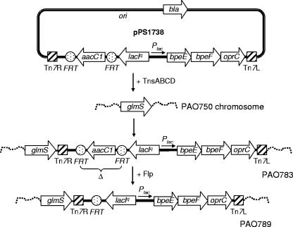 FIG. 2.