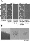 FIG. 4.
