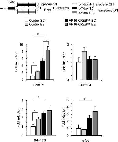 Figure 6.