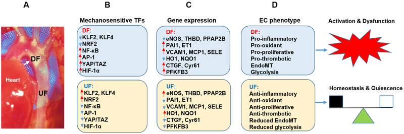 Figure 2, Key figure.