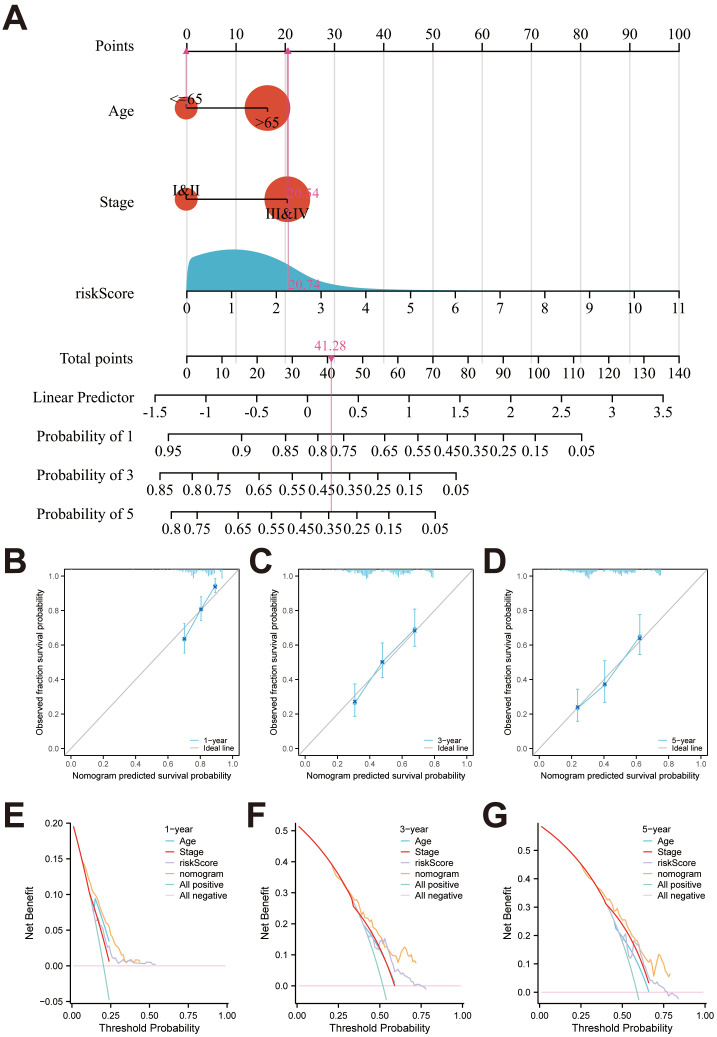 Figure 6