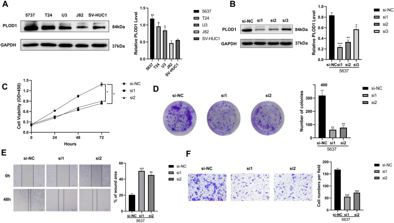 Figure 10