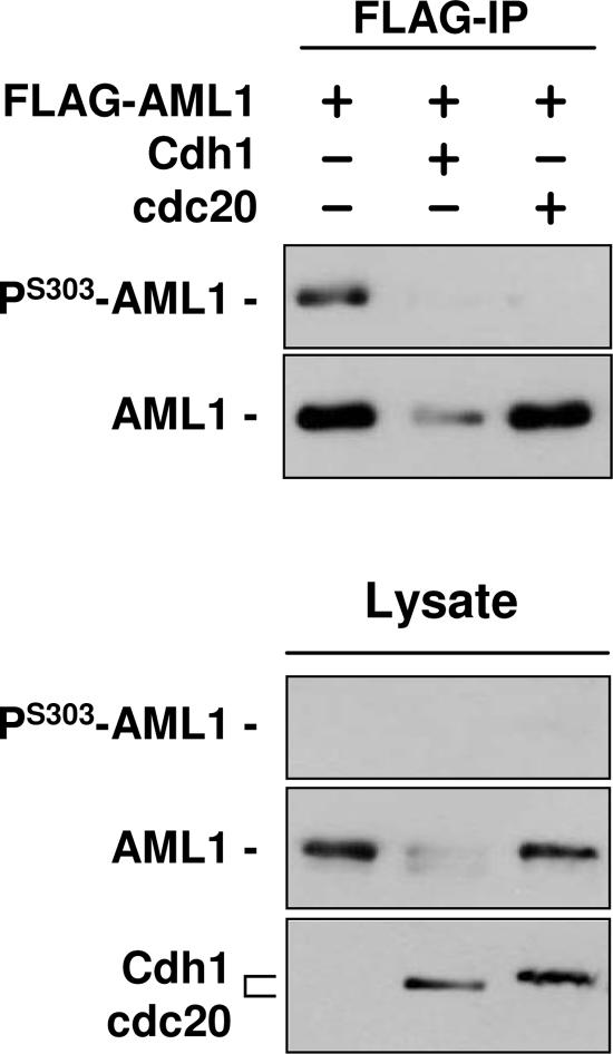 FIG. 8.