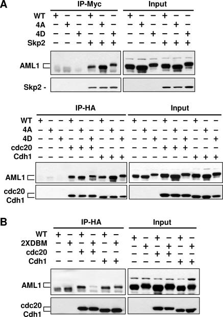 FIG. 9.