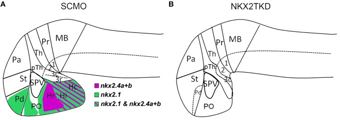 Figure 9