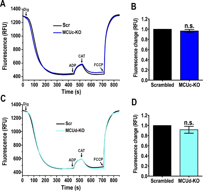 FIGURE 3: