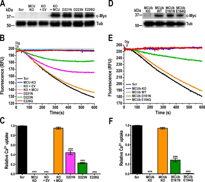 FIGURE 6: