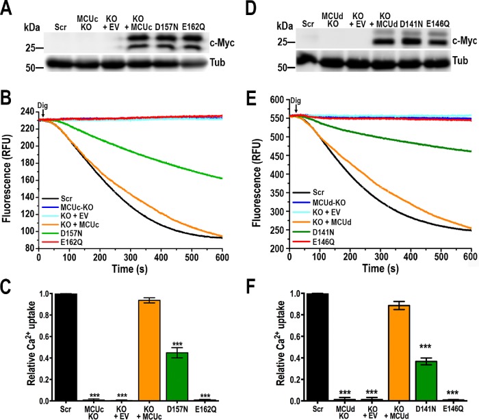 FIGURE 7: