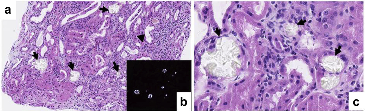 Figure 3