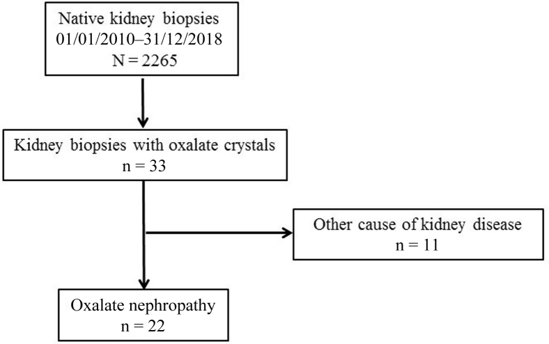 Figure 1