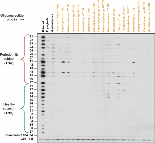 Figure 13