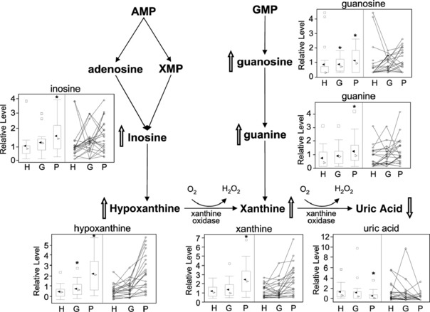 Figure 20