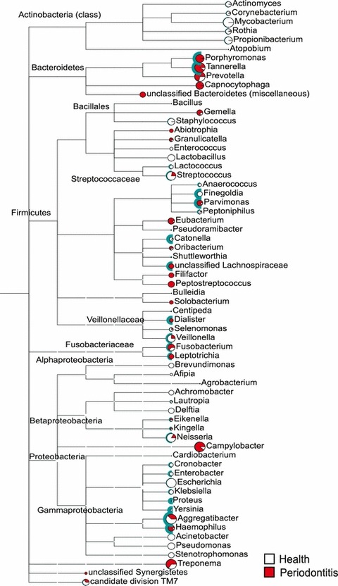 Figure 21