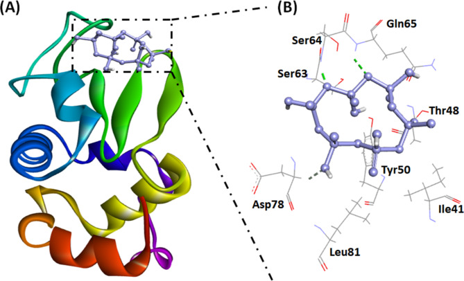 Fig. 9