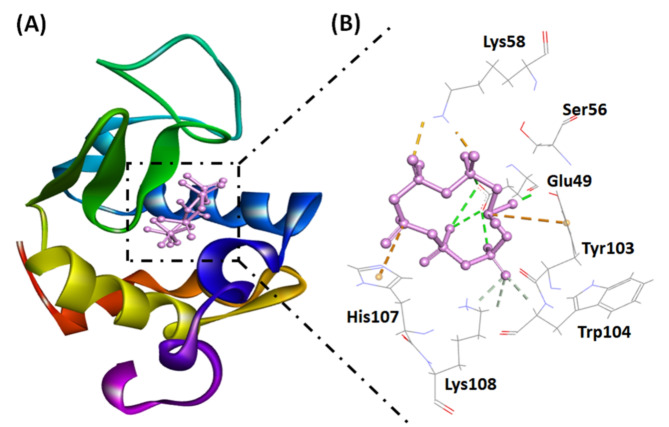 Fig. 8