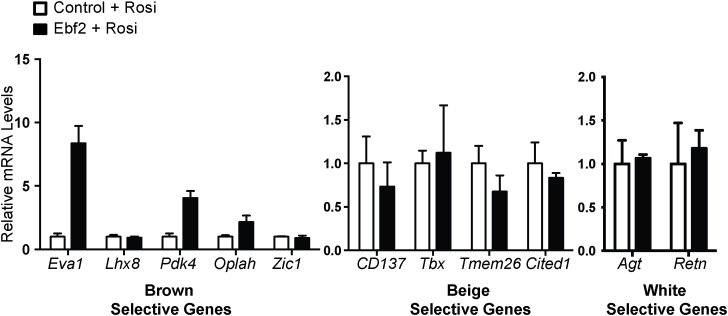 graphic file with name figs2.jpg