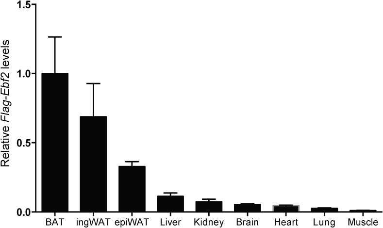 graphic file with name figs4.jpg