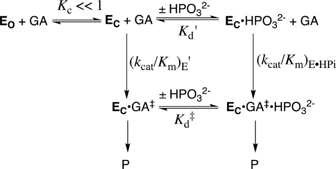 Scheme 2