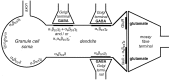 Fig. 8.