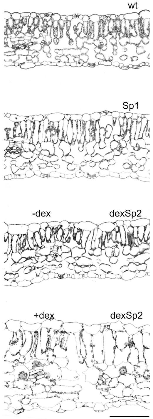 Figure 4.