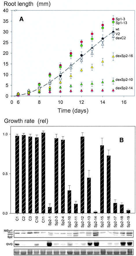 Figure 5.