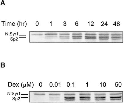 Figure 2.