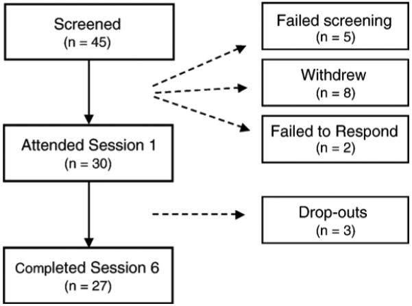 FIGURE 1