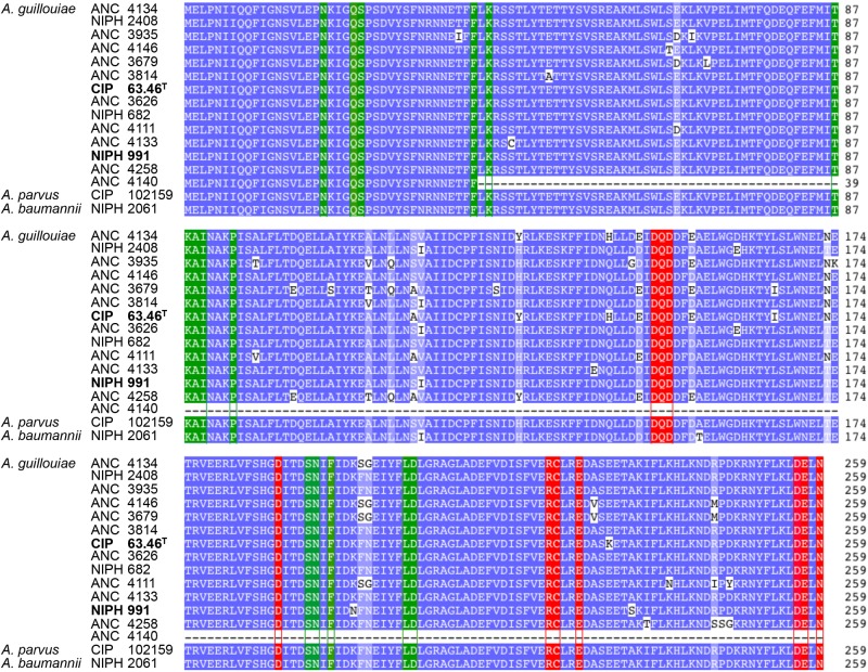 FIG 3 