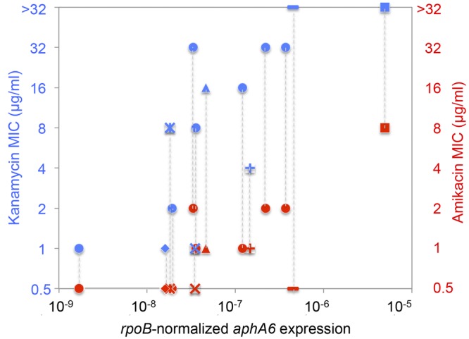 FIG 4 