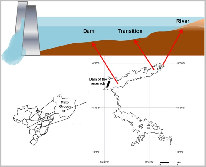 FIGURE 1