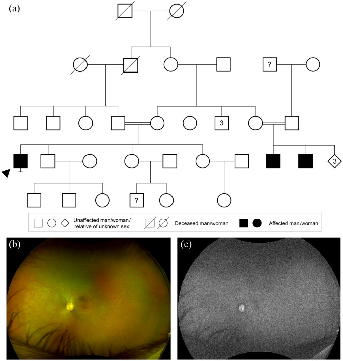 Figure 6.