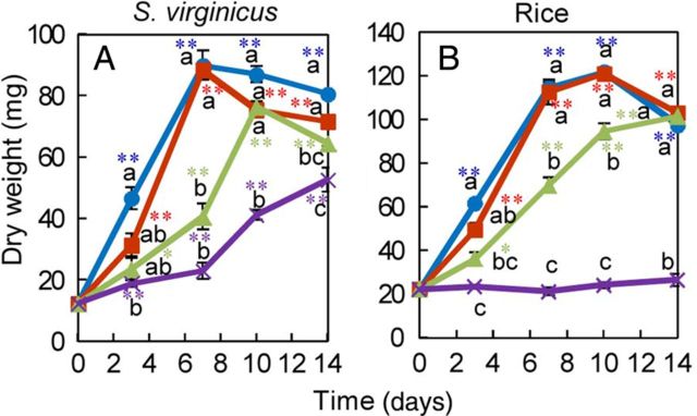 Figure 4.