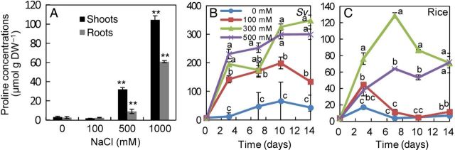 Figure 6.