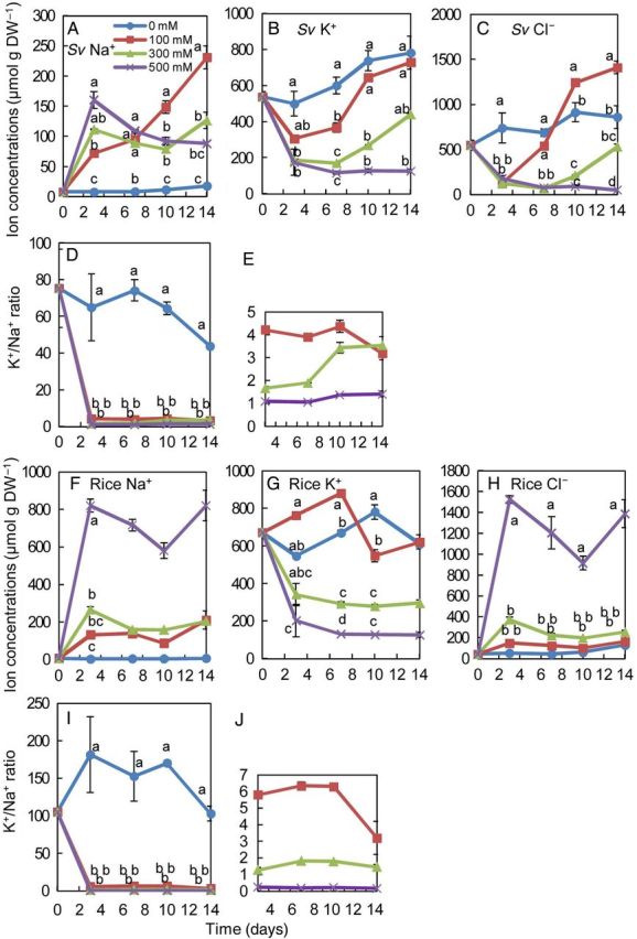 Figure 5.