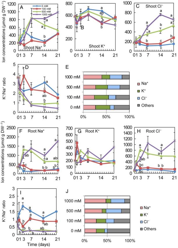 Figure 2.