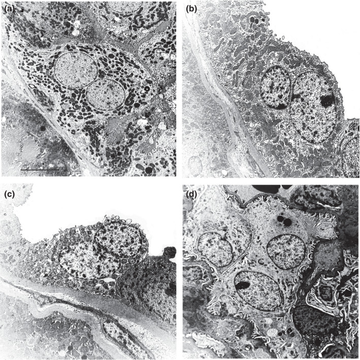 FIGURE 2