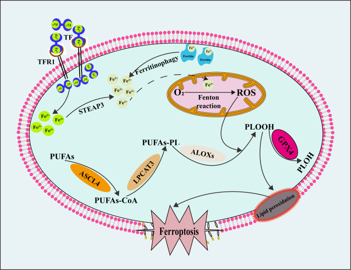 Figure 3