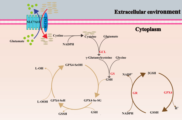 Figure 2