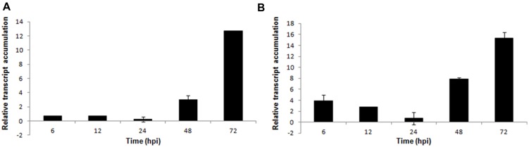 FIGURE 4