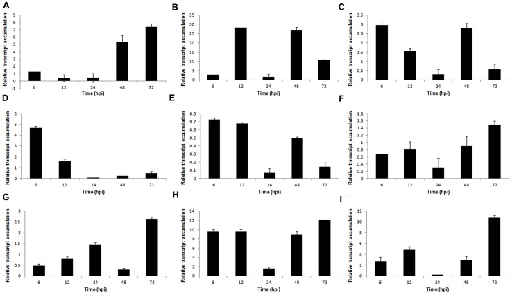 FIGURE 3