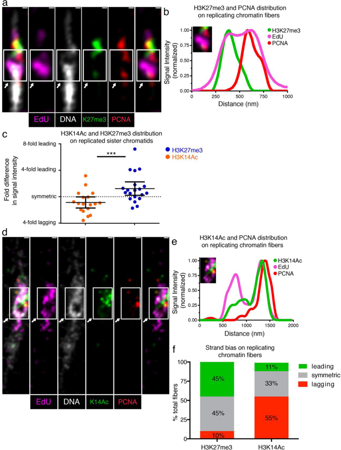 Figure 4: