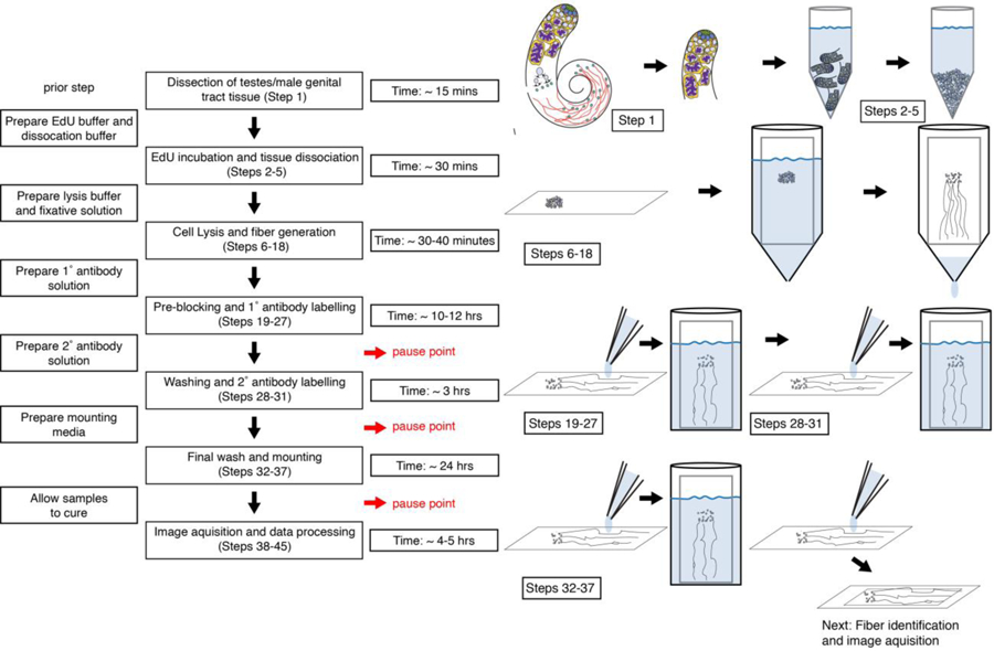 Figure 1: