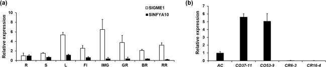 Fig. 5