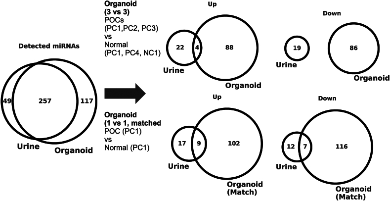 Fig. 7